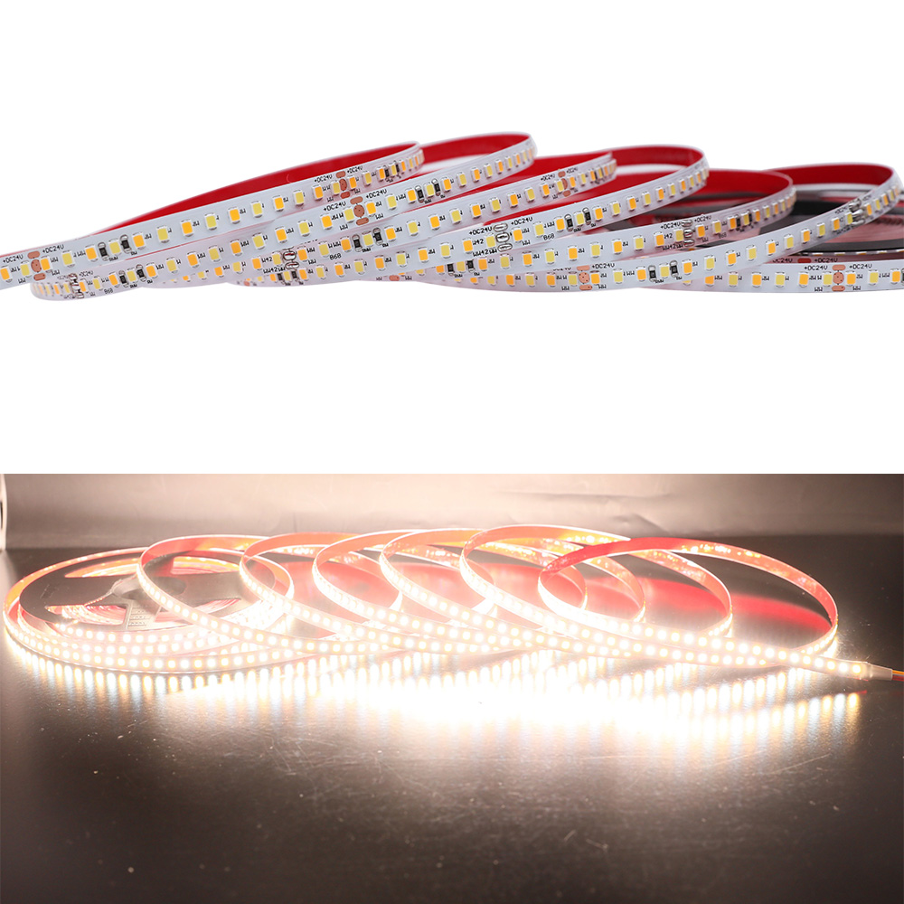 24V 8mm CCT Tunable White LED Strip, Warm White + Pure White 2835 LEDs 24V 8mm CCT Tunable White LED Strip, Warm White + Pure White 2835 LEDs